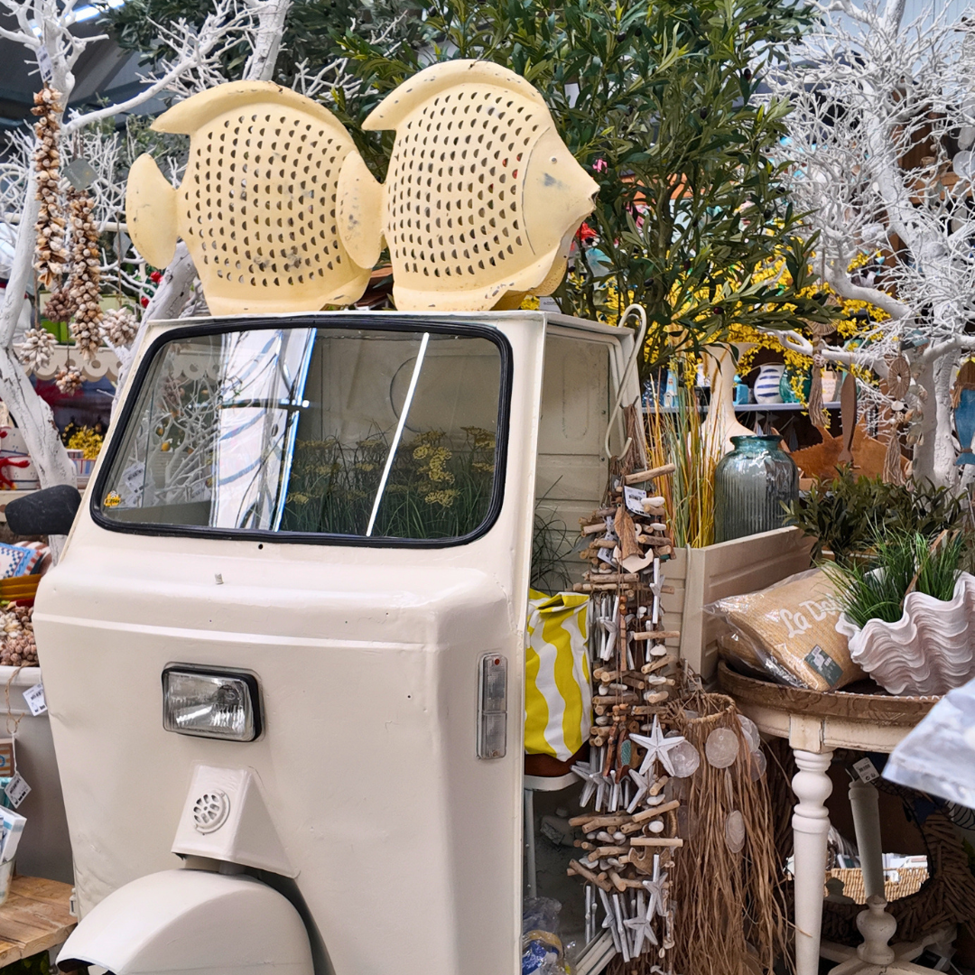 Benvinguda primavera: Una explosió de color al nostre Garden!